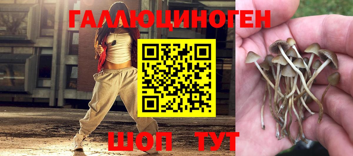 Псилоцибиновые грибы мухоморы  Галлюциногенные грибы Psilocybine cubensis  Вход с VPN  Михайловск 