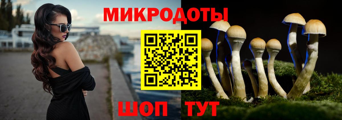 Псилоцибиновые грибы Psilocybe Михайловск